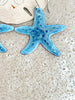 Starfish Sea Star  Earrings